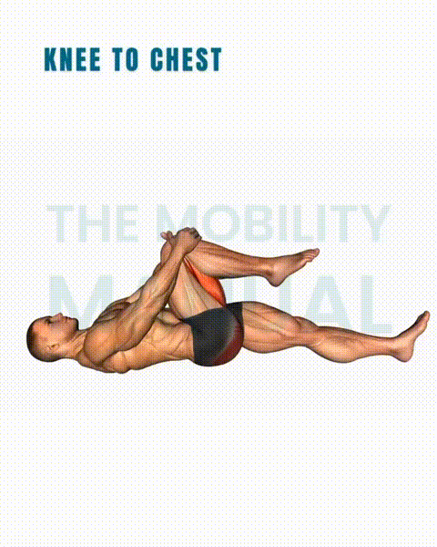 6 Full-Body Stretching Exercises to Relax Your Neck, Shoulders, and Back