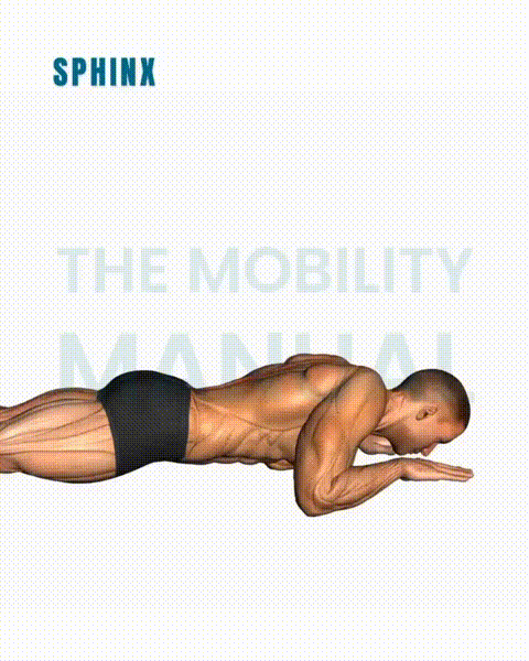 6 Full-Body Stretching Exercises to Relax Your Neck, Shoulders, and Back