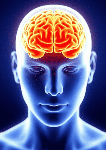 Men’s brains shrink faster with age than women’s, study finds
