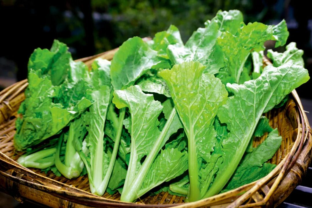 Green Leafy Vegetables Lower the Risk of Colon Cancer
